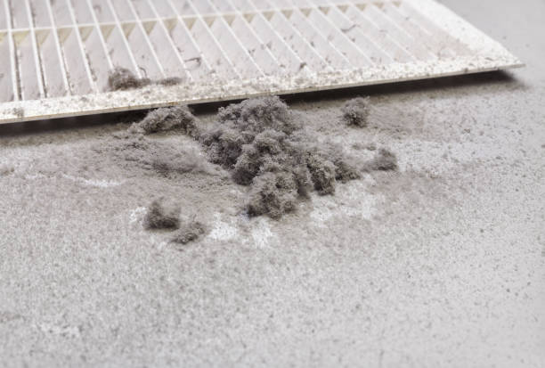Best HVAC Duct Inspection Services  in Oregon, OH
