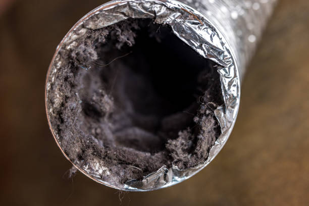 Best HVAC Maintenance and Cleaning  in Oregon, OH