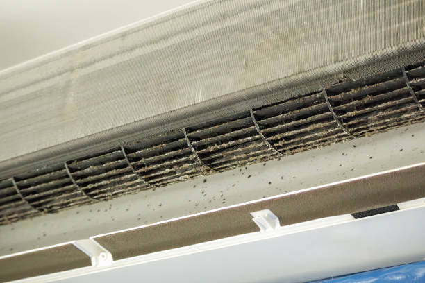Best Emergency Air Duct Cleaning  in Oregon, OH